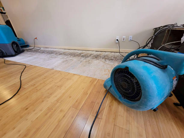 Professional Emergency Water Damage technician working in Angora, MN